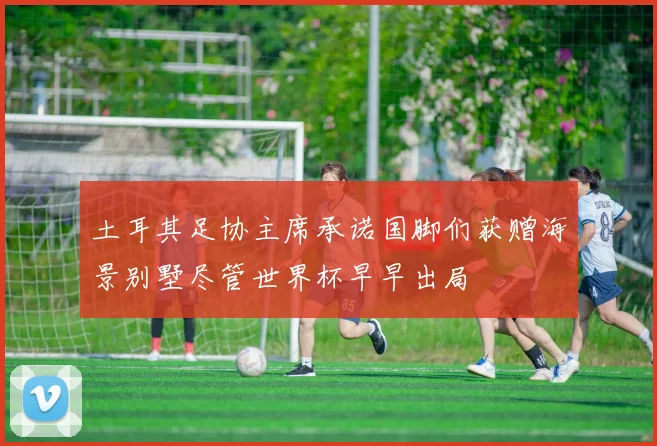 土耳其足协主席承诺国脚们获赠海景别墅尽管世界杯早早出局