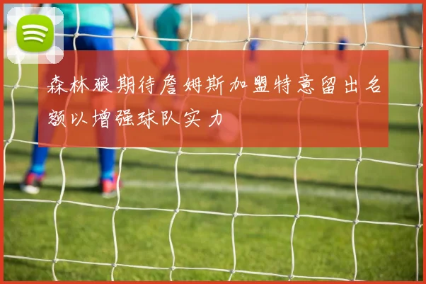 森林狼期待詹姆斯加盟特意留出名额以增强球队实力