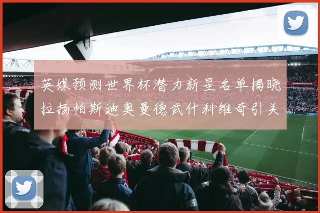 英媒预测世界杯潜力新星名单揭晓拉扬帕斯迪奥曼德武什科维奇引关注